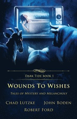 Chad Lutzke, John Boden, Robert Ford - Wounds to Wishes, Häftad