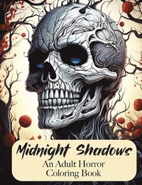 bokomslag Midnight Shadows