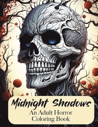 bokomslag Midnight Shadows