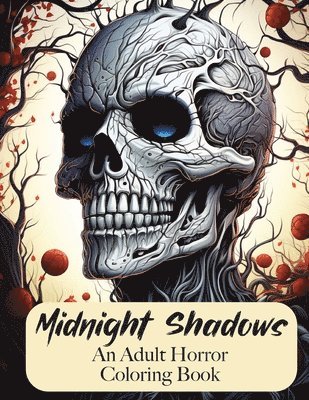 bokomslag Midnight Shadows