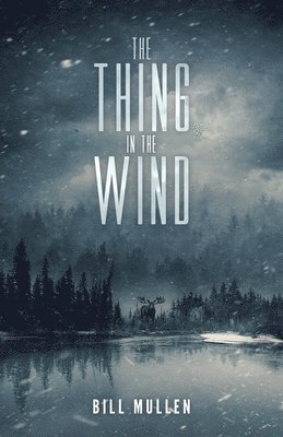 bokomslag Thing in the Wind