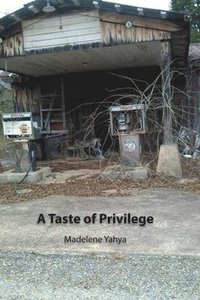 bokomslag A Taste of Privilege