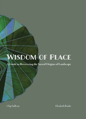 bokomslag Wisdom of Place
