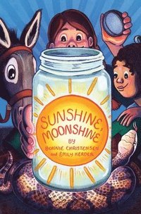 bokomslag Sunshine, Moonshine