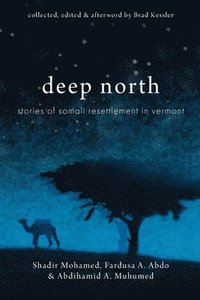bokomslag Deep North