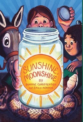 bokomslag Sunshine, Moonshine