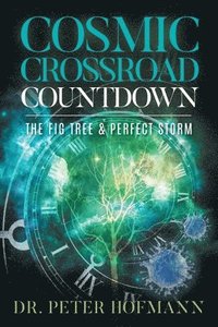 bokomslag Cosmic Crossroad Countdown