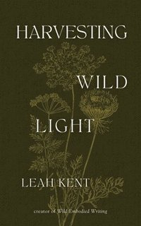 bokomslag Harvesting Wild Light