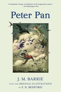 bokomslag Peter Pan (Warbler Classics Illustrated Edition)