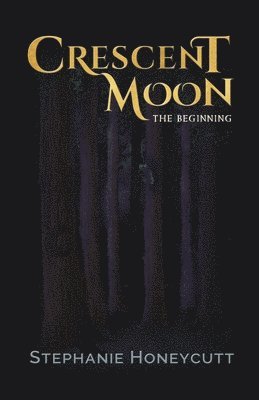 bokomslag Crescent Moon