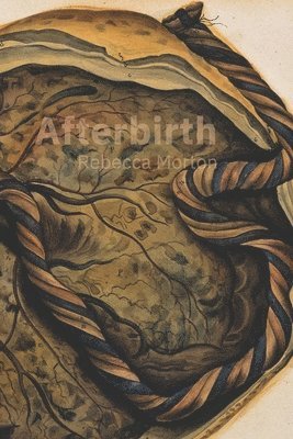 Rebecca Morton - Afterbirth, Häftad