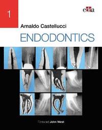 bokomslag ENDODONTICS - 2 Volume Set