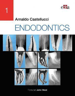 bokomslag ENDODONTICS - 2 Volume Set