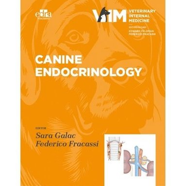 Sara Galac, Federico Fracassi, Edward C Feldman, Federico Fracassi - Canine Endocrinology, Inbunden