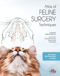 bokomslag Feline surgery