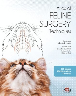 bokomslag Feline surgery