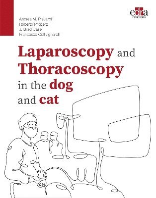 bokomslag Laparoscopy and Thoracoscopy in the Dog and Cat