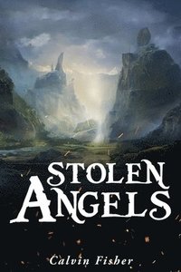 bokomslag Stolen Angels