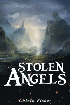 bokomslag Stolen Angels