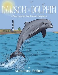 bokomslag Dawson the Dolphin