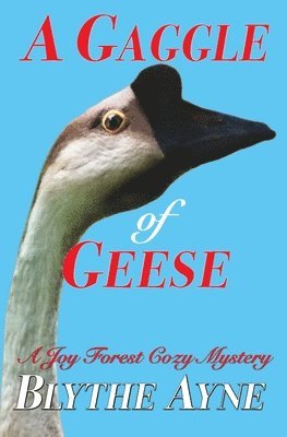 Gaggle of Geese