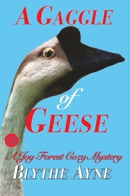 Gaggle of Geese