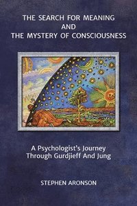bokomslag The Search For Meaning and The Mystery of Consciousness