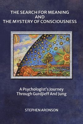 Stephen Aronson - Search For Meaning and The Mystery of Consciousness, Häftad