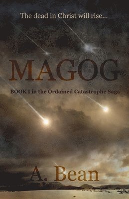 bokomslag Magog