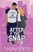 After the Snap (Illustrated Edition) 1