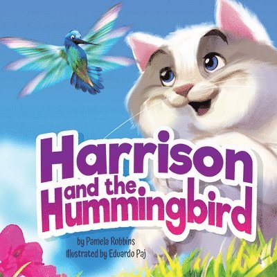 Harrison and the Hummingbird 1