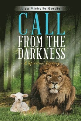 bokomslag Call From the Darkness: A Spiritual Journey