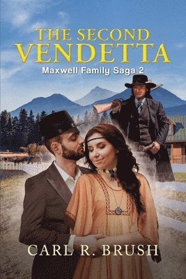 bokomslag Second Vendetta