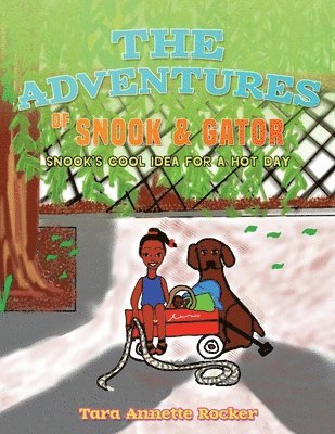Adventures of Snook & Gator