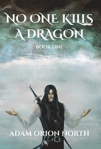bokomslag No One Kills A Dragon