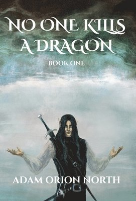 bokomslag No One Kills A Dragon