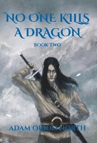 bokomslag No One Kills A Dragon