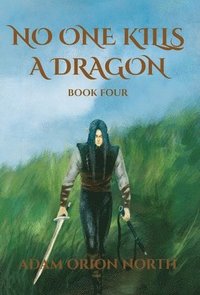 bokomslag No One Kills A Dragon