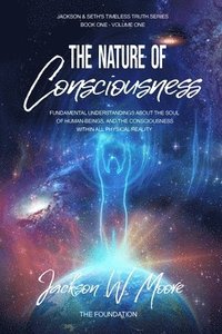 bokomslag The Nature Of Consciousness