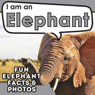 I am an Elephant 1