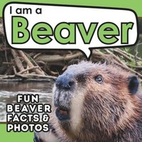bokomslag I am a Beaver