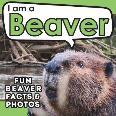 I am a Beaver 1
