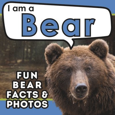 I am a Bear 1