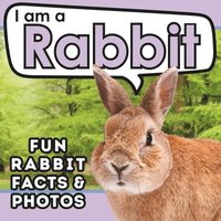 bokomslag I am a Rabbit