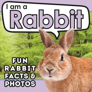 bokomslag I am a Rabbit