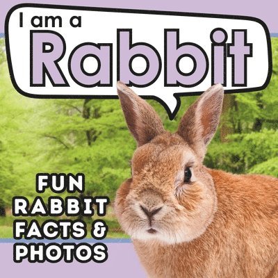 I am a Rabbit 1