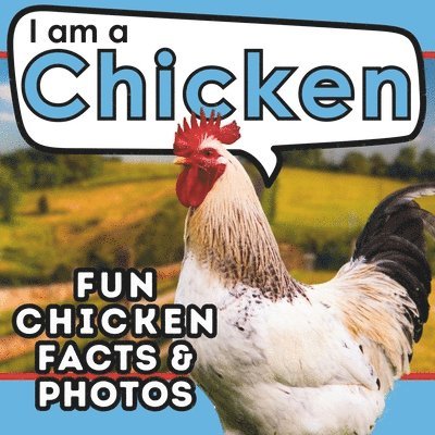 I am a Chicken 1