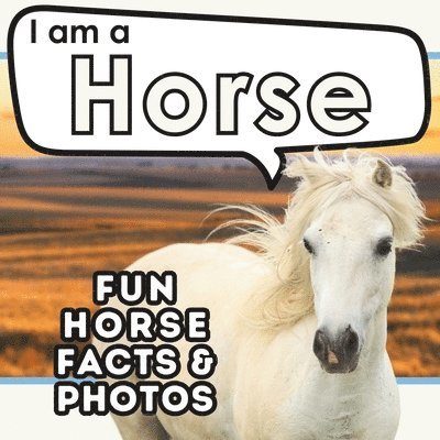 I am a Horse 1