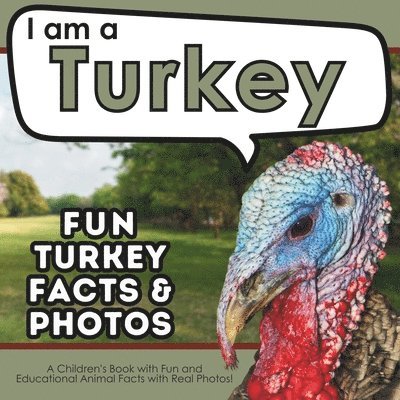 I am a Turkey 1