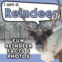 bokomslag I am a Reindeer